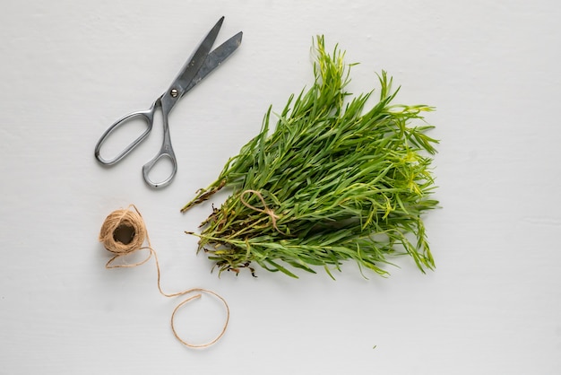 Bündel aromatischer Estragon auf dem Tisch, aromatisches Kraut zum Kochen, besondere Zutat