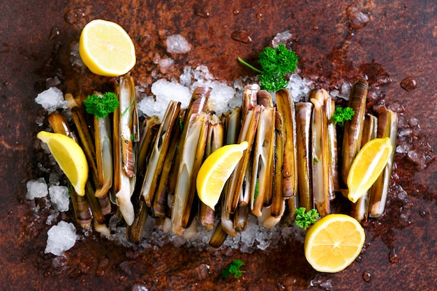 Bündel, Bündel frische Rasiermessermuscheln auf Eis, dunkler konkreter Hintergrund, Zitrone, Kräuter.