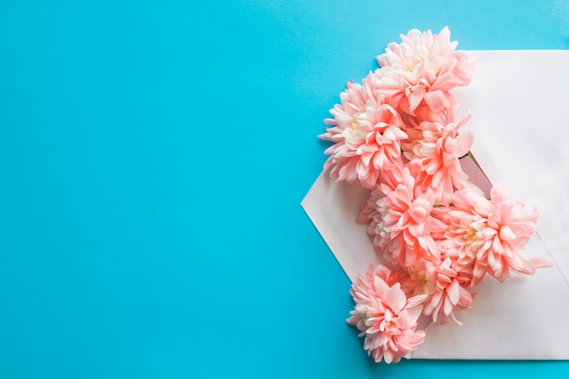 Bündel der frischen Blumen im Umschlag auf Pastellblau