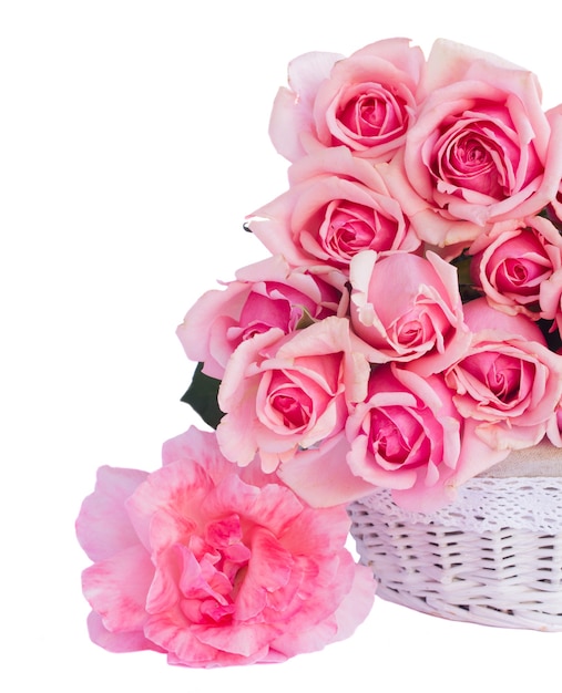 Bündel der frischen rosa blühenden Rosen im Korb nah oben lokalisiert auf weißem Hintergrund