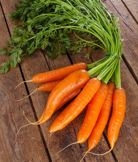 Bündel frische organische Karotten.