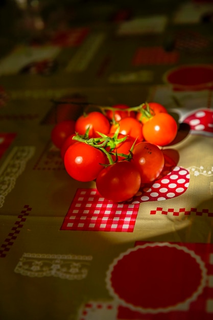 Bündel frische rote Tomaten mit grünen Stielen auf dem Küchentisch