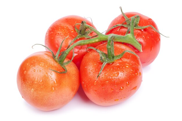 Bündel frische Tomaten mit Wassertropfen. Isoliert.