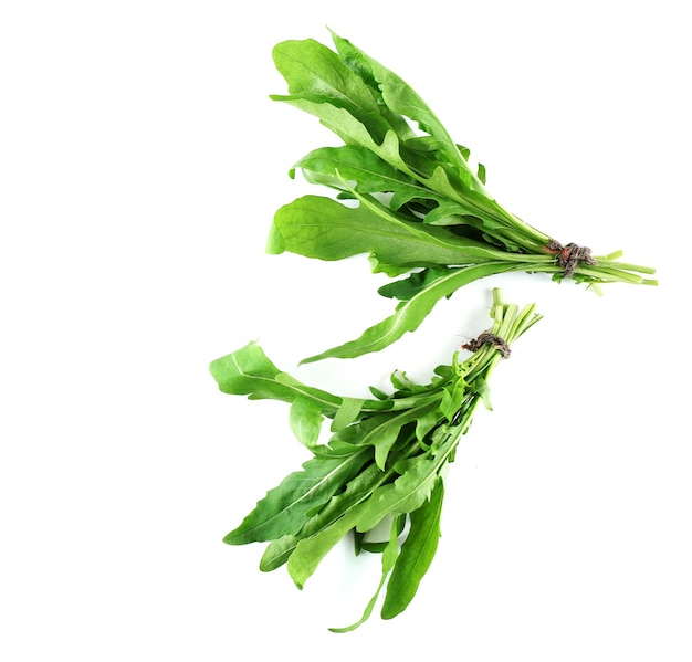 Bündel frischer Arugula-Blätter, isoliert auf Weiß