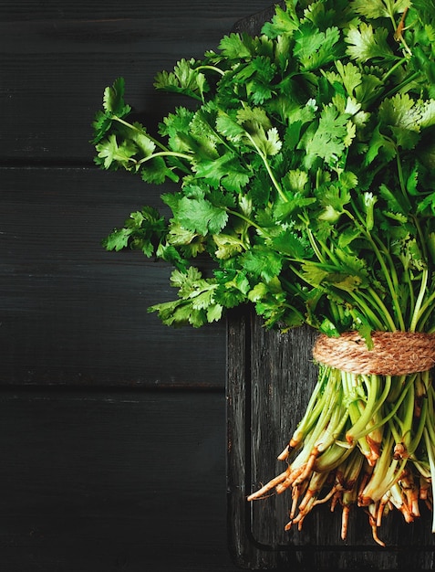 Bündel frischer Cilantro auf einem grauen Holztisch, Nahaufnahme, Draufsicht, keine Leute