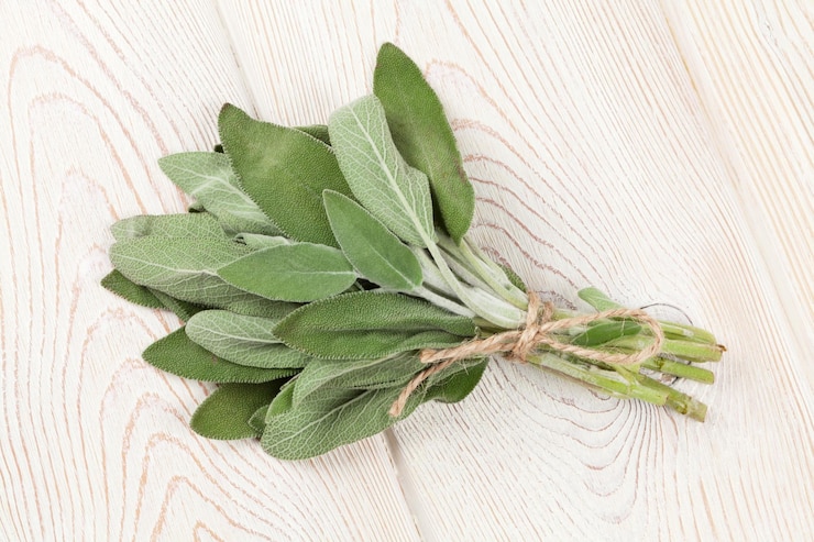 Foto bündel gartensalbeikraut