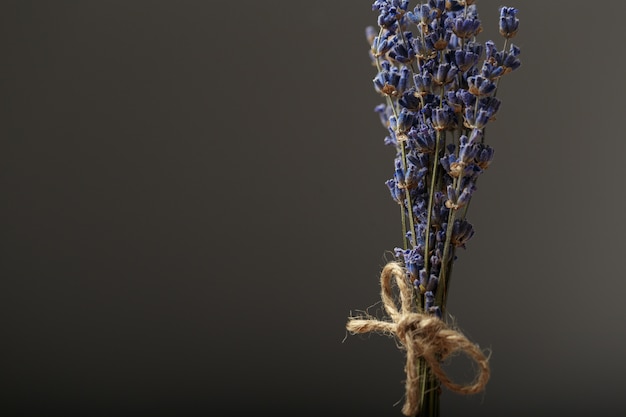 Bündel getrockneter Lavendel oben gebunden mit Seilabschluß