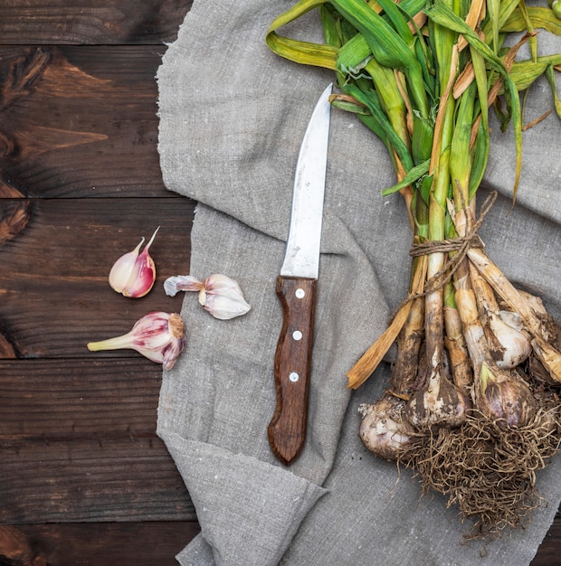 Bündel junger Knoblauch und Küchenmesser