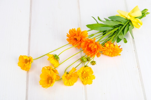 Bündel orange Wildflowers auf weißem Hintergrund