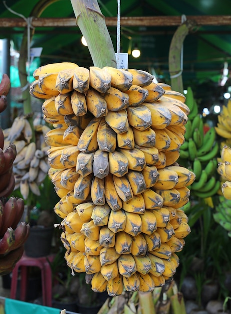 Bündel reife angebaute Bananen