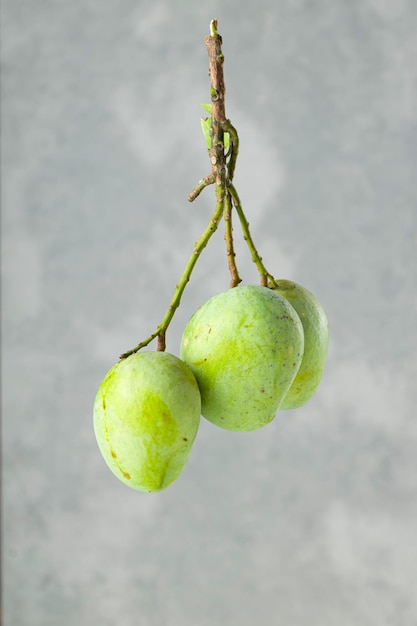 Bündel rohe Mango oder grüne Mango mit grauem und weißem strukturiertem Hintergrund isoliert