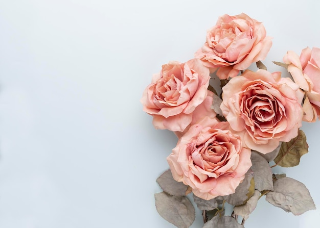 Bündel rosa Rosen auf pastellfarbenem Hintergrund. Kartenkonzept, Pastellfarben, Nahaufnahme, Textfreiraum. Flatlay.