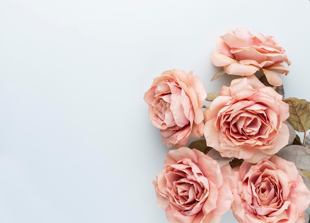 Bündel rosa Rosen auf pastellfarbenem Hintergrund. Kartenkonzept, Pastellfarben, Nahaufnahme, Textfreiraum. Flatlay.