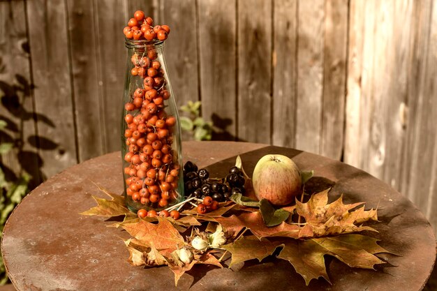 Foto bündel rote eberesche in einer glasflasche reifer apfel frische haselnüsse schwarze eberesche