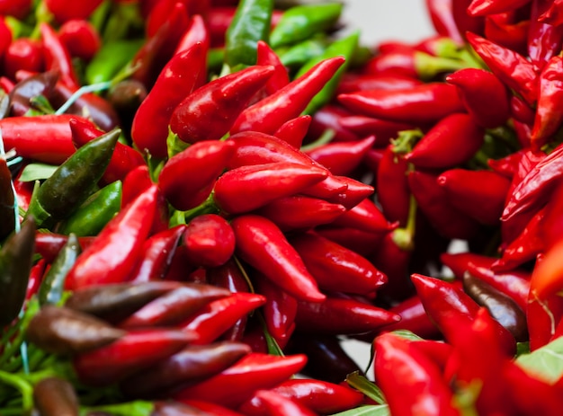 Bündel rote heiße Paprikapfeffer am Markt