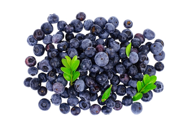 Bündel süßer reifer Blaubeeren