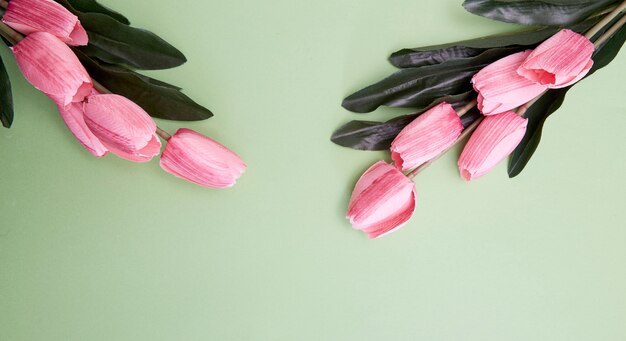 Bündel Tulpenblumen auf Grün