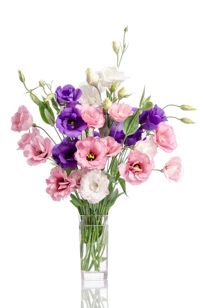 Bündel von violetten, weißen und rosa Eustoma-Blumen in Glasvase