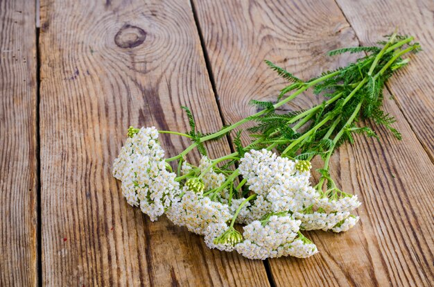 Bündel wilde Blumen mit weißen Blütenständen auf Holztisch