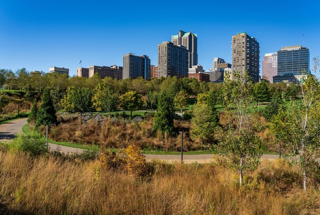 Büros und Stadtbild von St. Louis, Missouri, gesehen vom Explorers Park