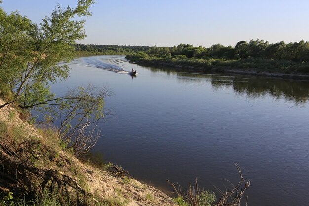 Büsche am hohen Ufer des Flusses natürliche Sommerlandschaft Ein Boot, das durch den Fluss schneidet