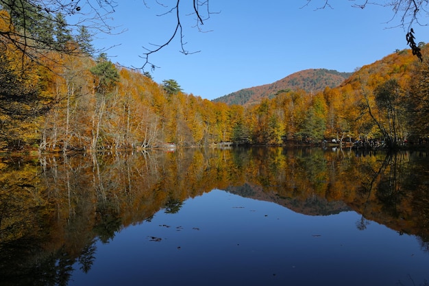 Büyük-See im Nationalpark Yedigoller Bolu Türkei