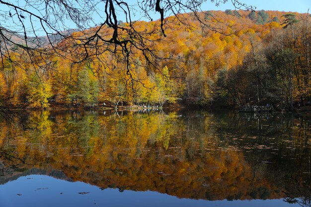 Büyük-See im Nationalpark Yedigoller Bolu Türkei