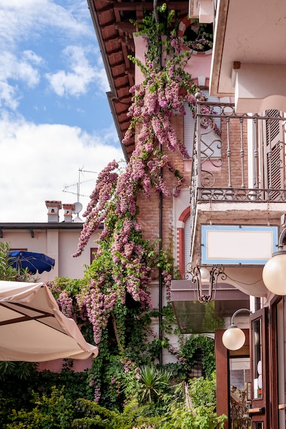 La buganvilla en flor envuelve las paredes de la casa