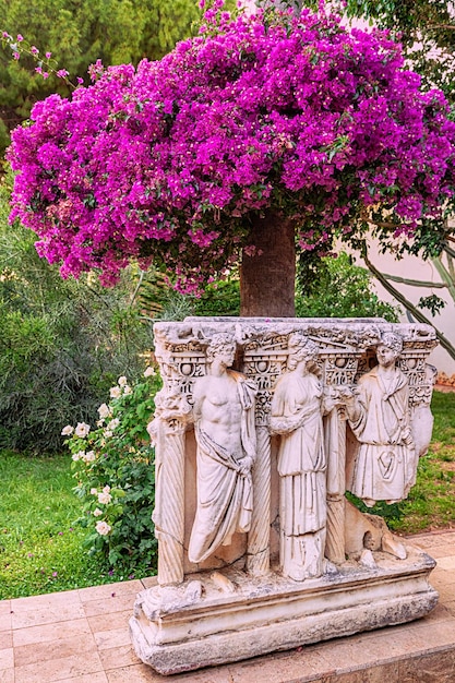 buganvillas en flor y un antiguo fresco griego con un bajorrelieve de una trama mítica