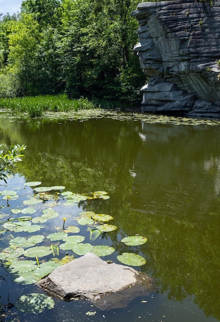 Buky Canyon Sommerlandschaft Hirskyi Tikych Fluss Tscherkassy Region Ukraine