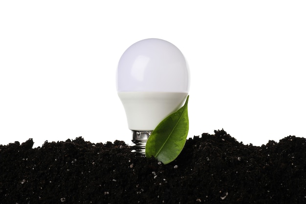 Bulbo de economia de energia com folha no solo isolado no fundo branco.