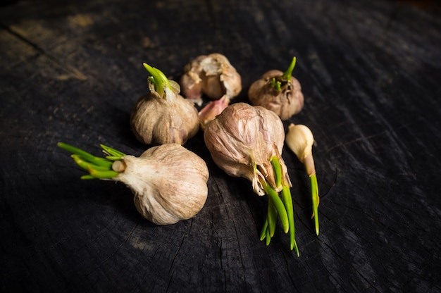 Bulbos de ajo en el escritorio de madera negra