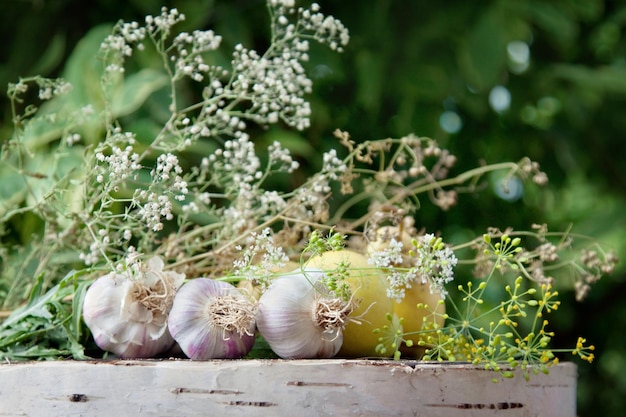 Bulbos de ajo y especias hierbas sobre fondo de madera natural