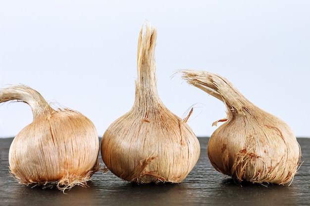 Bulbos de azafrán sativus. Bulbos para plantar azafrán, para obtener la especia más cara del azafrán.