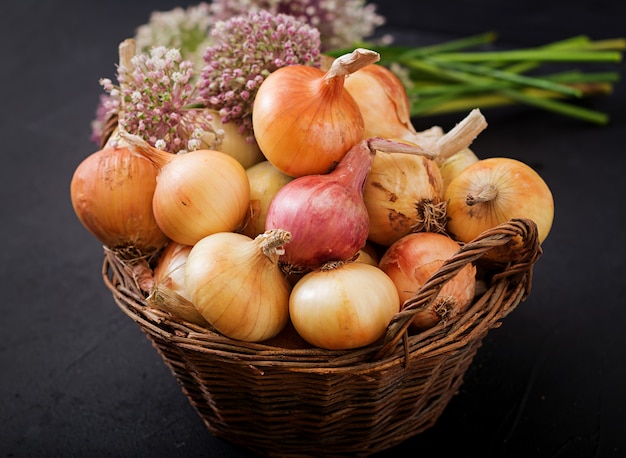 Bulbos de cebolla fresca joven y flores de cebolla.