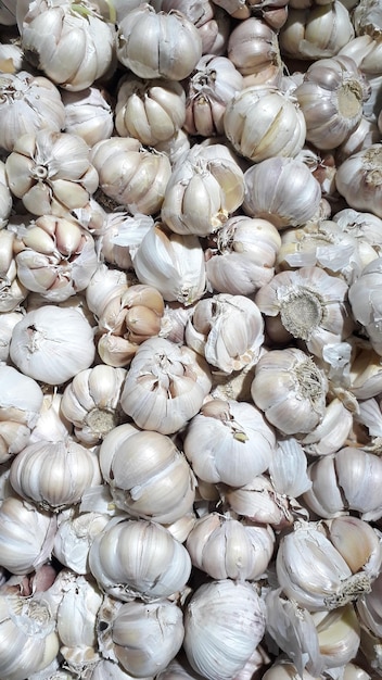 Bulbos de alho allium sativum vendem no mercado