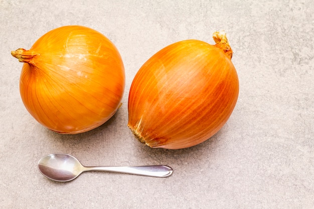 Bulbos de cebola gigante com uma colher de chá