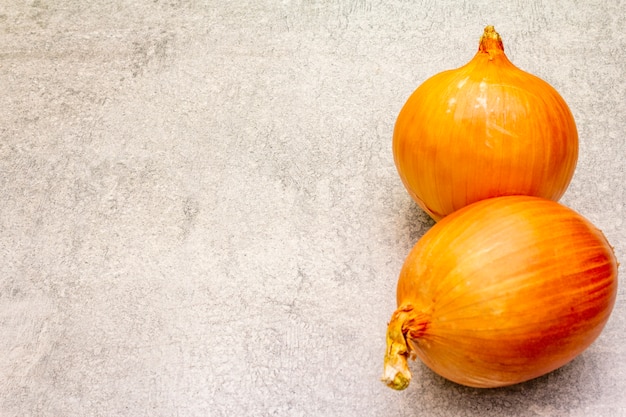 Bulbos de cebola gigante frescos