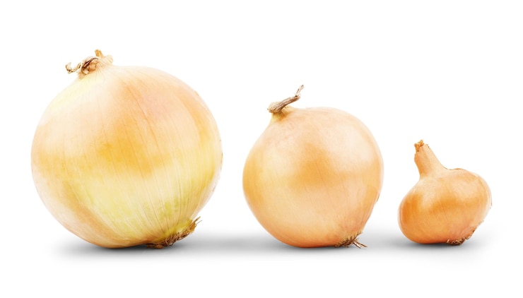 Foto bulbos frescos de cebola sobre um fundo branco
