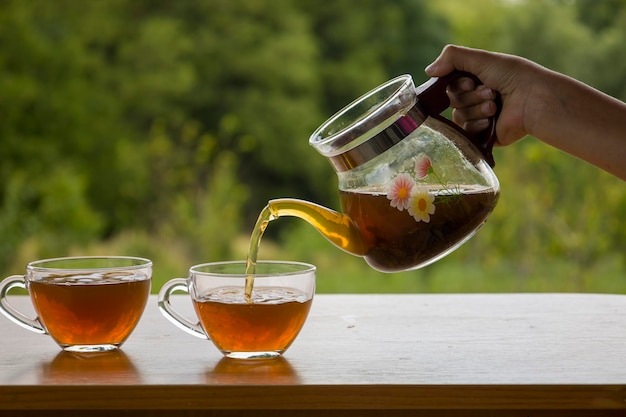 Bule com uma xícara de chá transparente na natureza