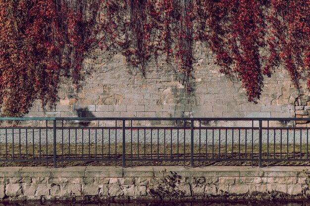 Bulevar del río con las murallas de la ciudad al fondo