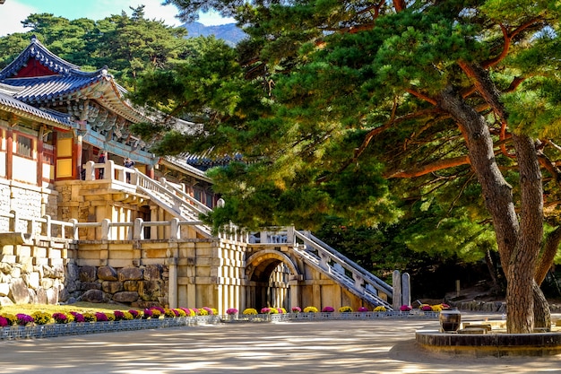 Bulguksa-Tempel im Herbst