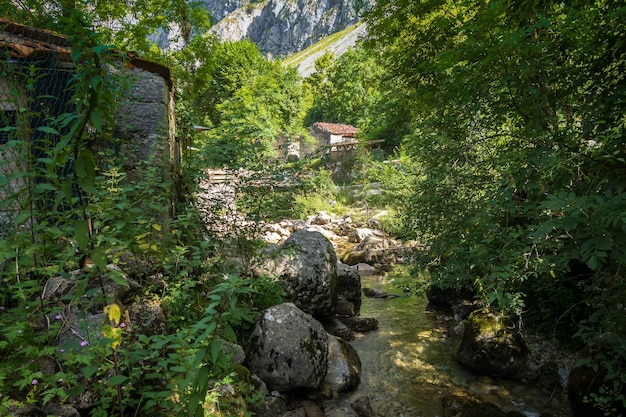 Bulnes Dorf Picos de Europa Asturien Spanien