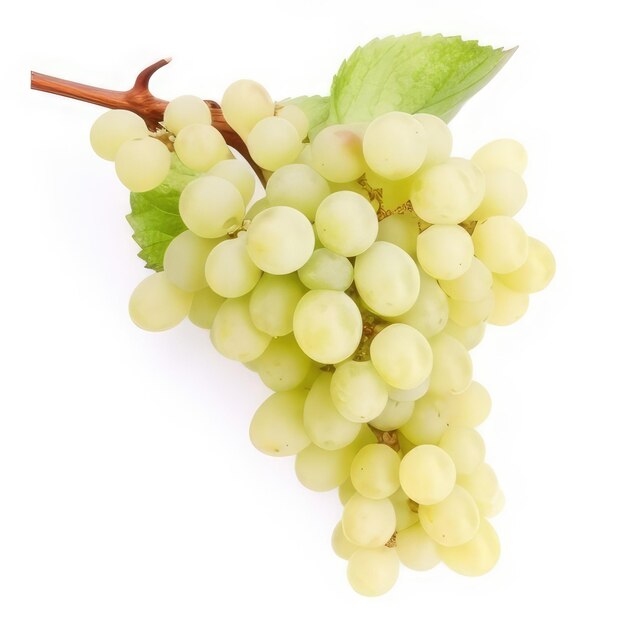 Foto a bunch of grapes that has a green leaf on it