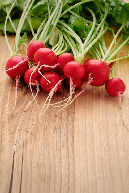 Bund frischer Rettich mit Blättern auf Schneidebrett Vitamingemüse Frische Gartenernte Nahaufnahme mit flachem DOF