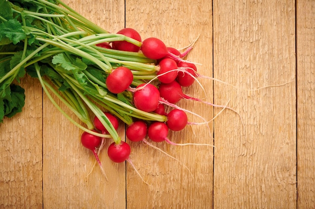 Bund frischer Rettich mit Blättern auf Schneidebrett Vitamingemüse Frische Gartenernte Nahaufnahme von oben