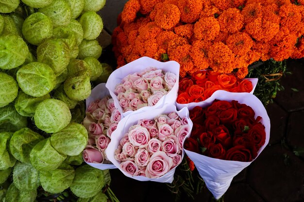 Foto bunga krisan chrysant flowers são plantas com flores do gênero chrysanthemum