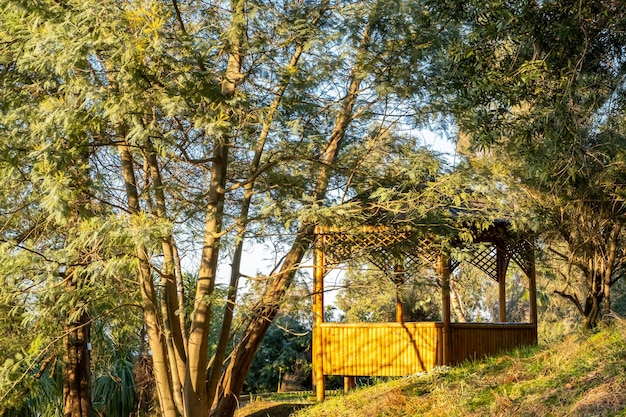 Bungalow entre árboles tropicales mirador entre la naturaleza concepto de conexión con la naturaleza enfoque selectivo borroso