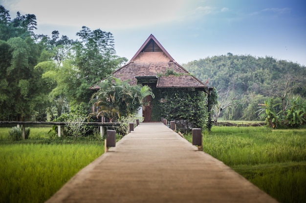 Bungalow no campo de arroz na Tailândia