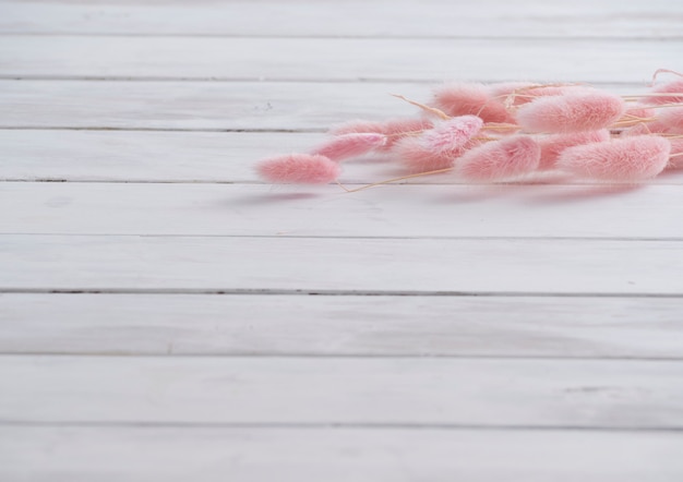 Bunny tail hierba en blanco de madera.